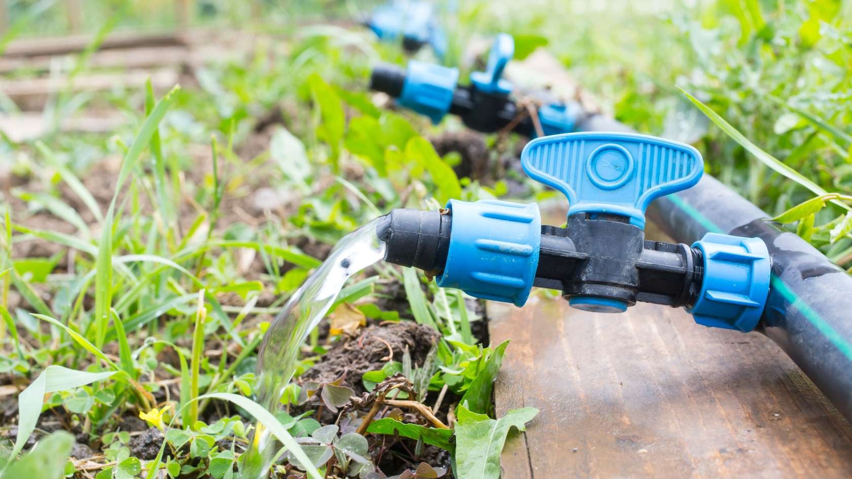 A close up of a hose connected to a water spigot