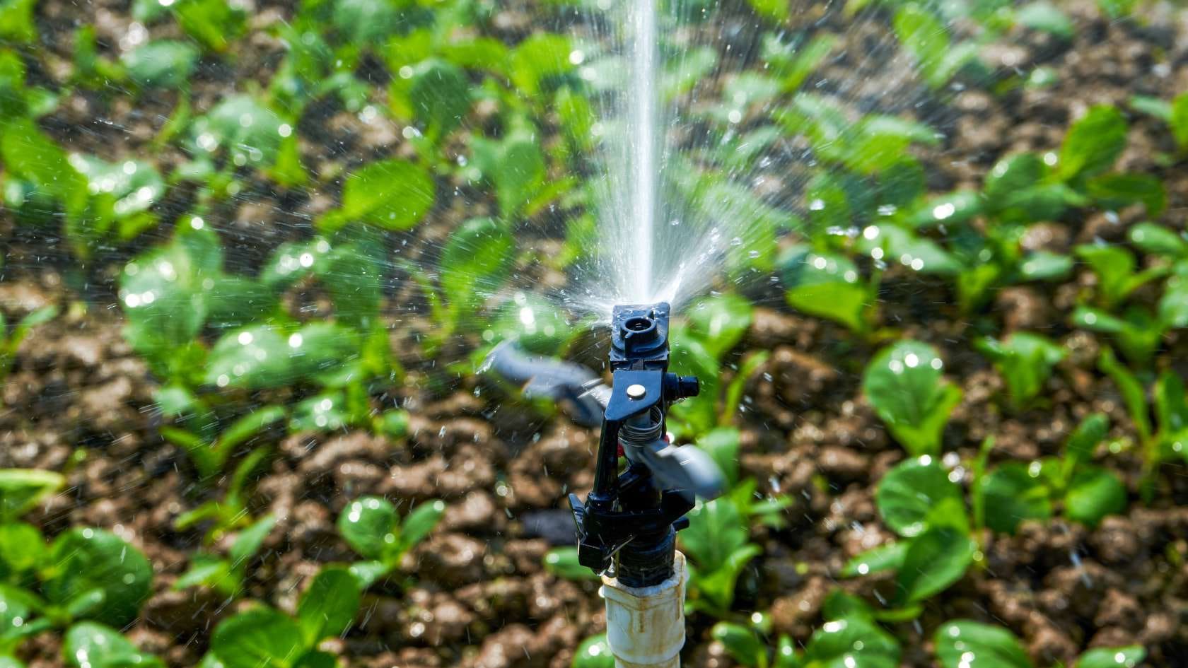 A fire hydrant spewing water into the air