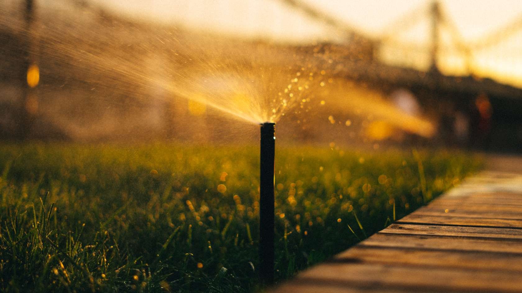 A sprinkler is spraying water on the grass